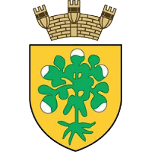Bormla Local Council